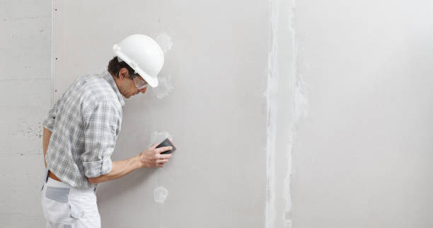 Best Fire-Damaged Drywall Repair  in Grant Park, IL